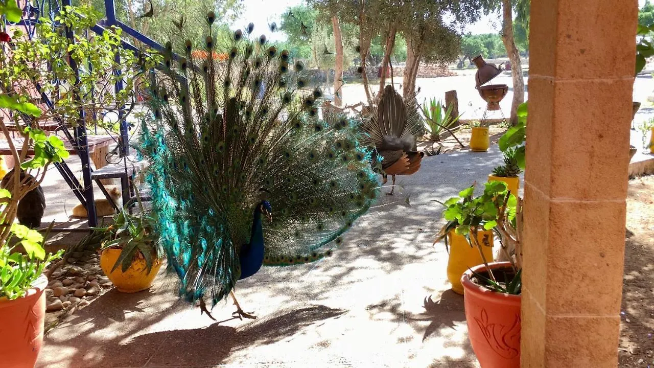 אסאוירה Camping & Hotel Le Calme בית הארחה